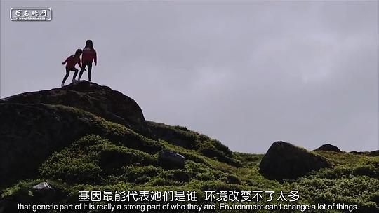 电影短片《双胞胎姐妹  Tvillingsøstrene》（2013挪威）--高清4K/1080P迅雷BT资源下载