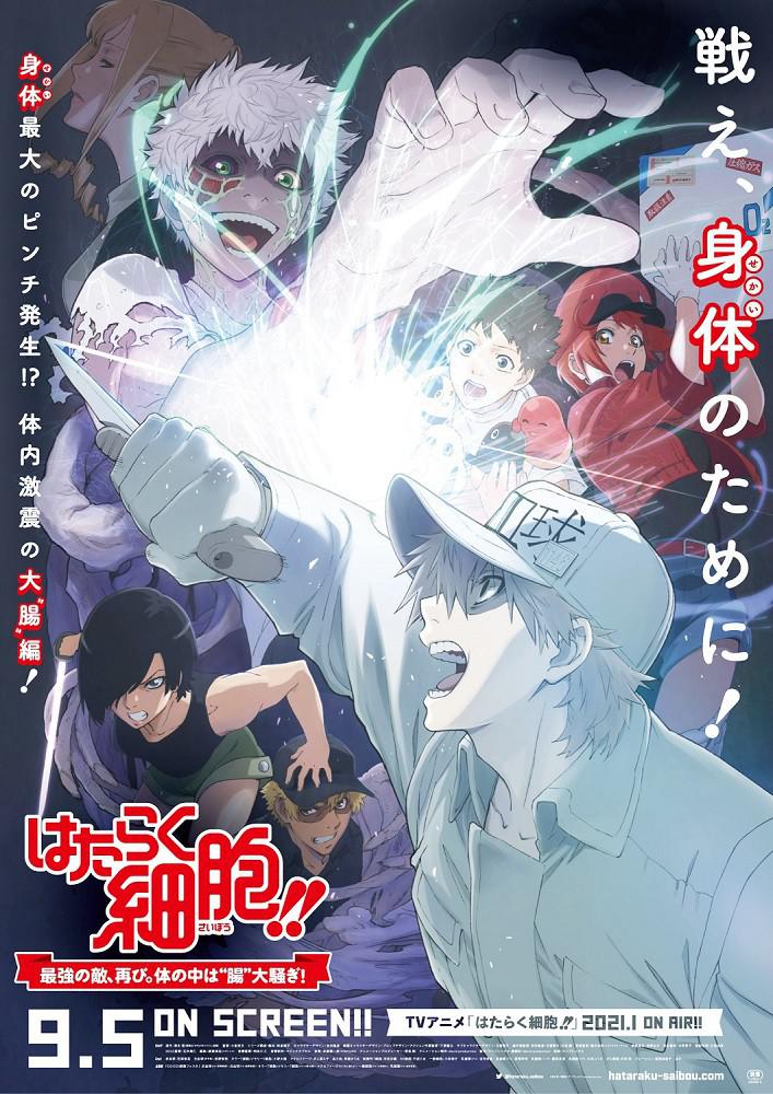 电影《工作细胞：细胞大作战  はたらく細胞!! 最強の敵、再び。体の中は“腸”大騒ぎ！》（2020日本）--高清4K/1080P迅雷BT资源下载