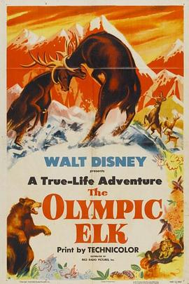 纪录片《罗斯福马鹿  The Olympic Elk》（1952美国）--高清4K/1080P迅雷BT资源下载