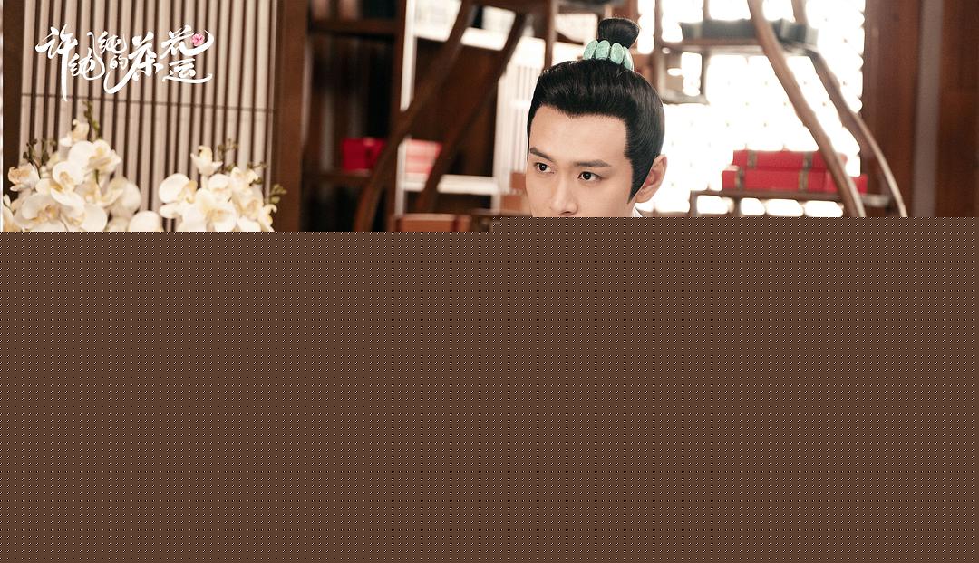 电视剧《许纯纯的茶花运》（2021中国大陆）--高清4K/1080P迅雷BT资源下载
