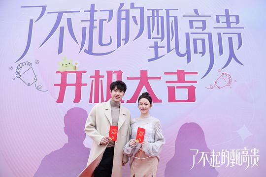 电视剧《了不起的甄高贵》（2023中国大陆）--高清4K/1080P迅雷BT资源下载
