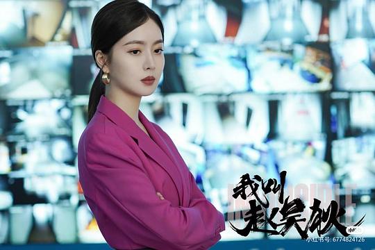 电视剧《我叫赵吴狄》（2024中国大陆）--高清4K/1080P迅雷BT资源下载