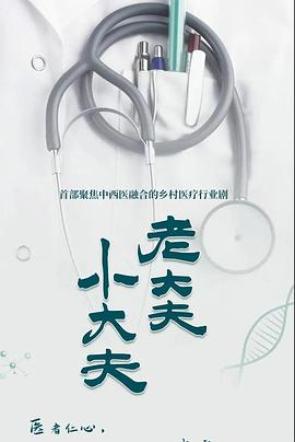电视剧《老大夫 小大夫》（2022中国大陆）--高清4K/1080P迅雷BT资源下载