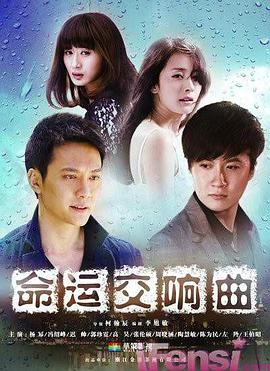 电视剧《命运交响曲》（2011中国大陆）--高清4K/1080P迅雷BT资源下载