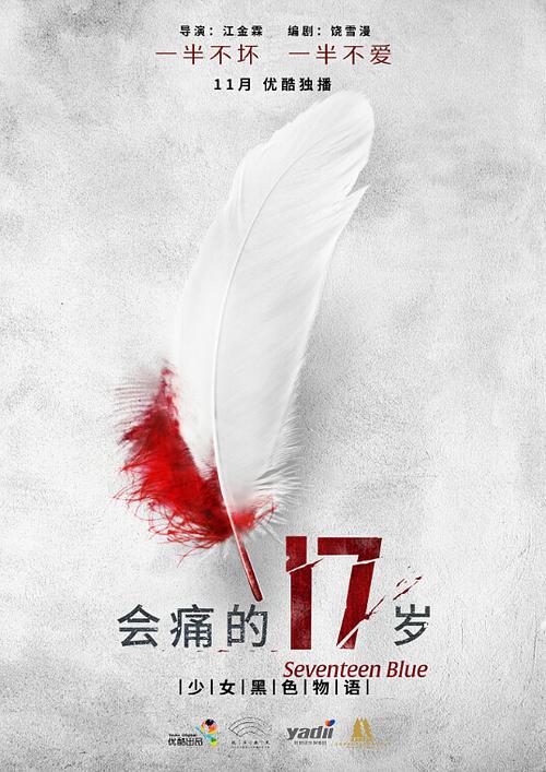 电视剧《会痛的17岁》（2015中国大陆）--高清4K/1080P迅雷BT资源下载