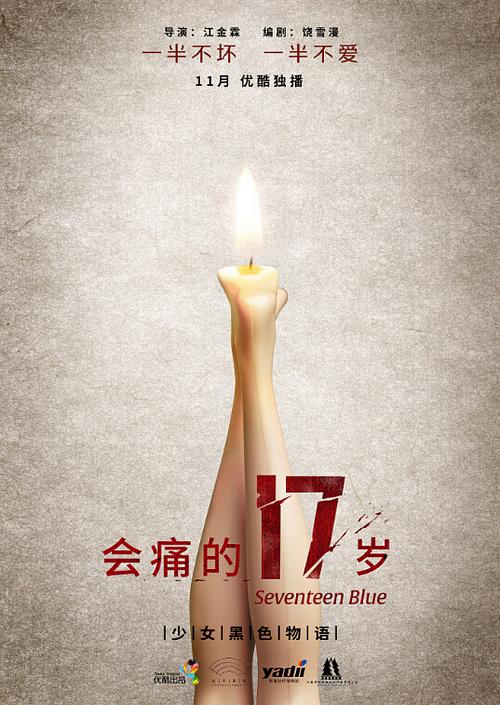 电视剧《会痛的17岁》（2015中国大陆）--高清4K/1080P迅雷BT资源下载