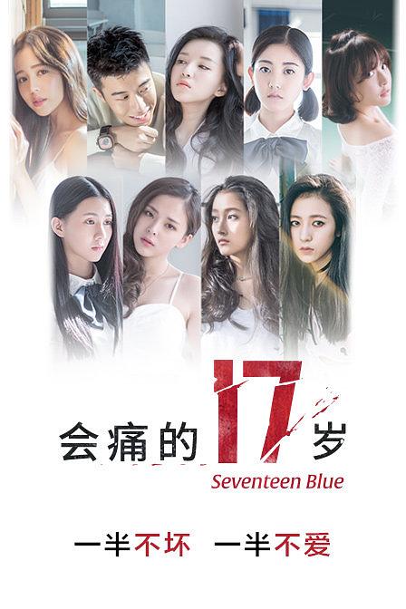 电视剧《会痛的17岁》（2015中国大陆）--高清4K/1080P迅雷BT资源下载