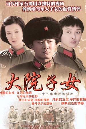 电视剧《大院子女》（2009中国大陆）--高清4K/1080P迅雷BT资源下载