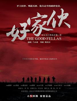 电视剧《好家伙》（2016中国大陆）--高清4K/1080P迅雷BT资源下载