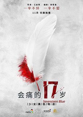 电视剧《会痛的17岁》（2015中国大陆）--高清4K/1080P迅雷BT资源下载