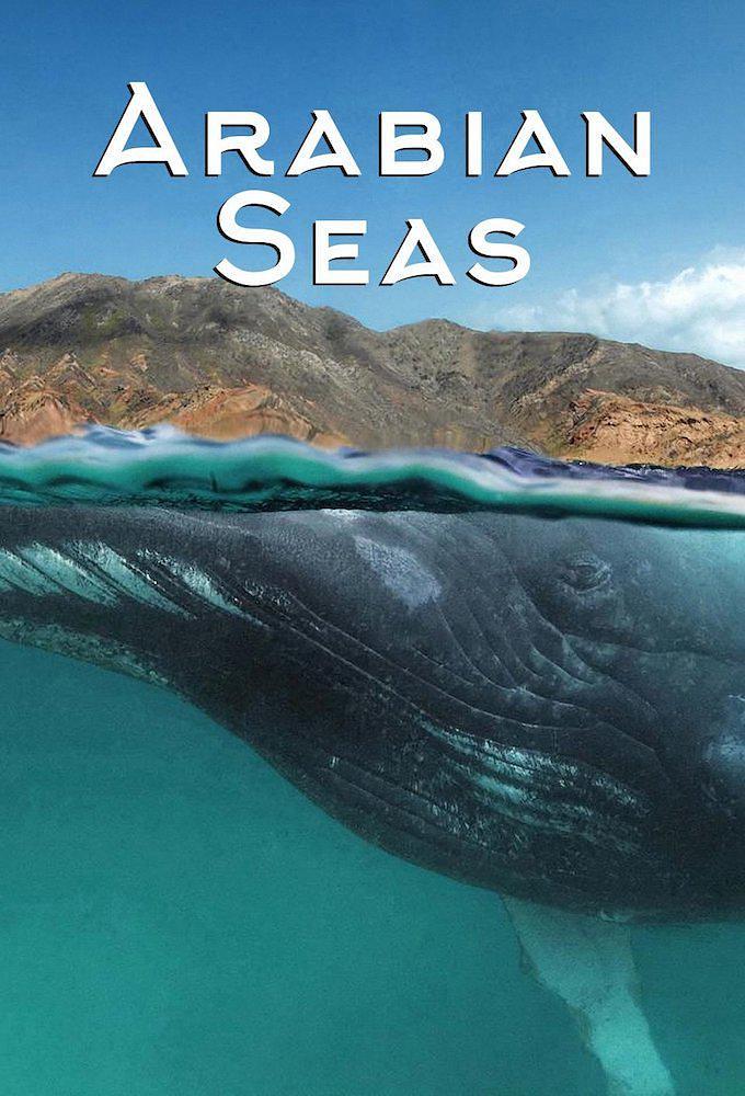 电视剧《阿拉伯海 第一季  Arabian Seas》（2017加拿大）--高清4K/1080P迅雷BT资源下载