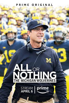 电视剧《孤注一掷：密歇根狼獾队  All or Nothing: The Michigan Wolverines》（2018美国）--高清4K/1080P迅雷BT资源下载
