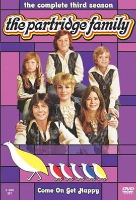 电视剧《鹧鸪家庭  The Partridge Family》（1970美国）--高清4K/1080P迅雷BT资源下载