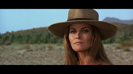 电影《复仇的女枪手  Hannie Caulder》（1971英国）--高清4K/1080P迅雷BT资源下载