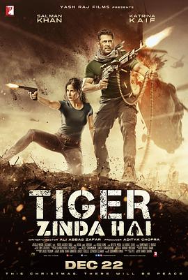 电影《猛虎还活着  Tiger Zinda Hai》（2017印度）--高清4K/1080P迅雷BT资源下载