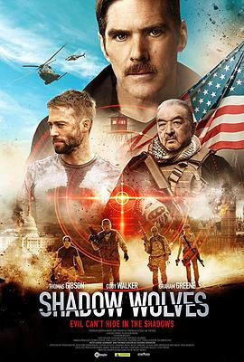 电影《暗影出击  Shadow Wolves》（2019美国 / 英国）--高清4K/1080P迅雷BT资源下载