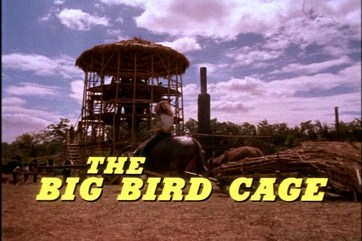 电影《大鸟笼  The Big Bird Cage》（1972菲律宾 / 美国）--高清4K/1080P迅雷BT资源下载