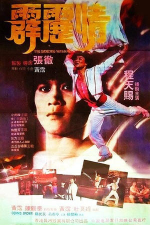 电影《霹雳情  霹靂情》（1985中国香港）--高清4K/1080P迅雷BT资源下载