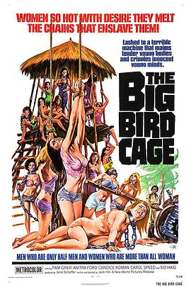 电影《大鸟笼  The Big Bird Cage》（1972菲律宾 / 美国）--高清4K/1080P迅雷BT资源下载