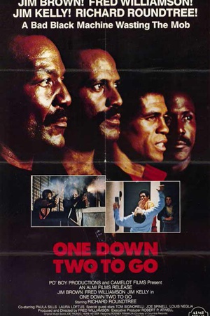 电影《执法者  One Down, Two to Go》（1982美国）--高清4K/1080P迅雷BT资源下载