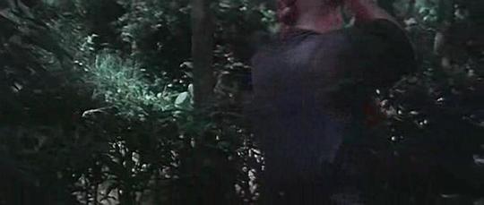 电影《火烧少林寺  火燒少林寺》（1976中国台湾 / 中国香港）--高清4K/1080P迅雷BT资源下载