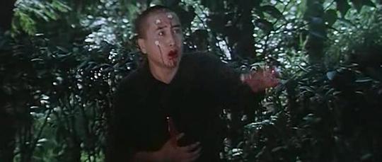 电影《火烧少林寺  火燒少林寺》（1976中国台湾 / 中国香港）--高清4K/1080P迅雷BT资源下载