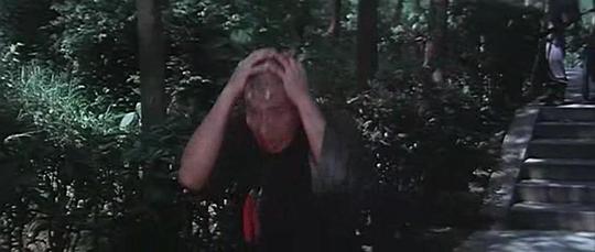 电影《火烧少林寺  火燒少林寺》（1976中国台湾 / 中国香港）--高清4K/1080P迅雷BT资源下载