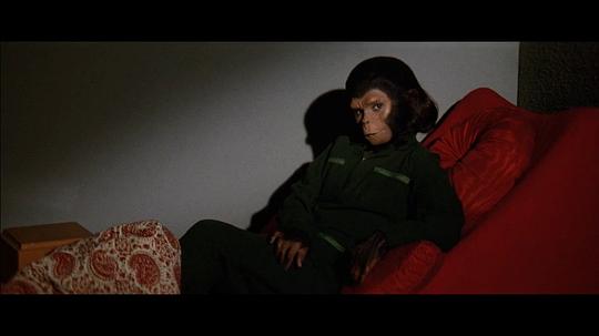 电影《猩球征服  Conquest of the Planet of the Apes》（1972美国）--高清4K/1080P迅雷BT资源下载