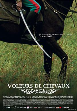 电影《偷马贼  Voleurs de chevaux》（2007法国 / 比利时 / 加拿大）--高清4K/1080P迅雷BT资源下载