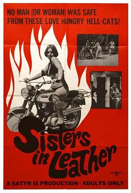 电影《皮衣姐妹  Sisters in Leather》（1969美国）--高清4K/1080P迅雷BT资源下载