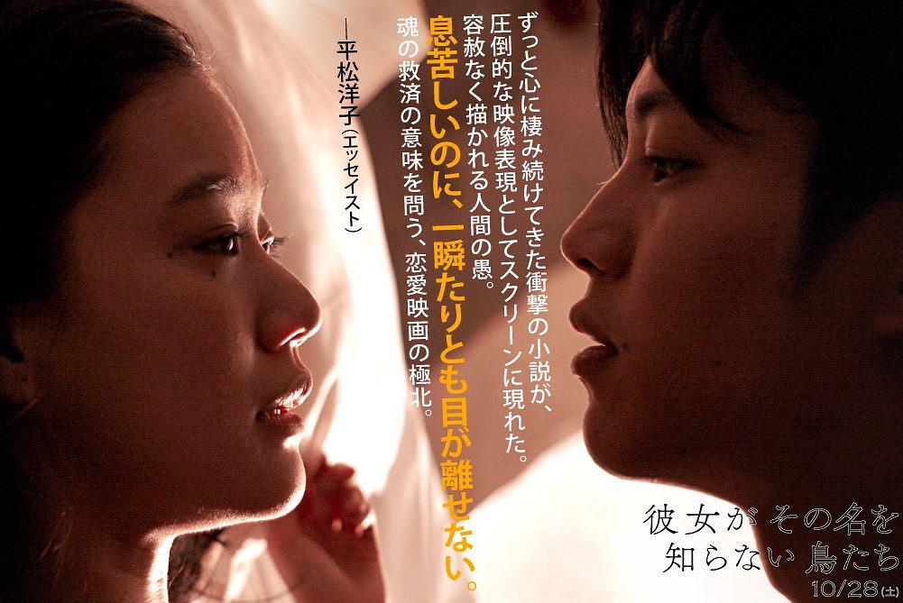 电影《她不知道名字的那些鸟儿  彼女がその名を知らない鳥たち》（2017日本）--高清4K/1080P迅雷BT资源下载