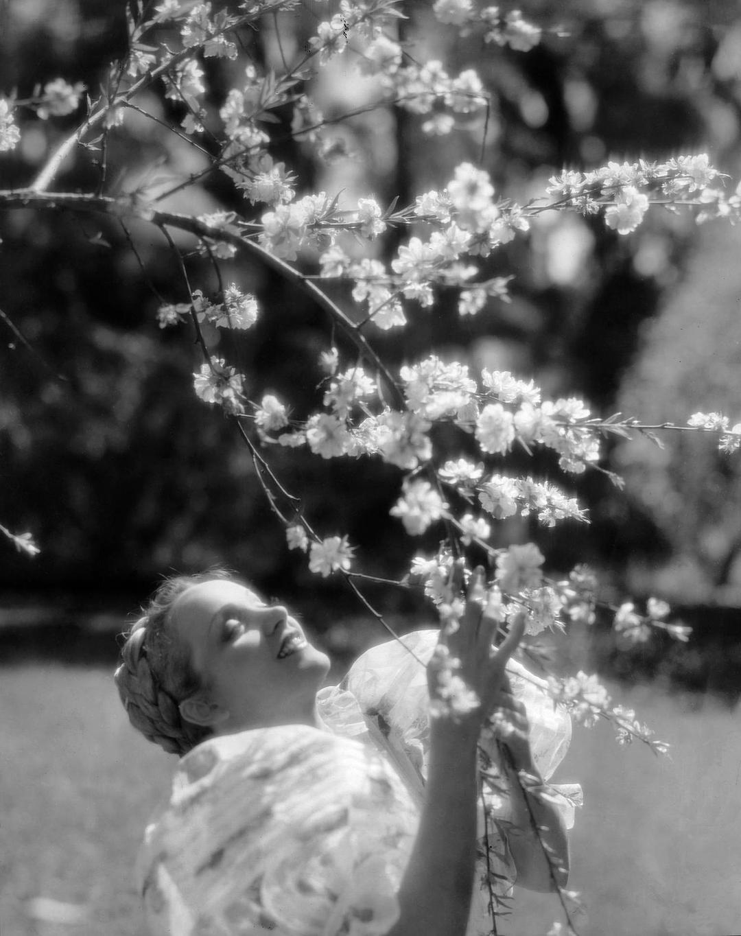 电影《歌之歌  The Song of Songs》（1933美国）--高清4K/1080P迅雷BT资源下载