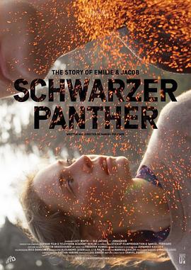 电影《黑豹  Schwarzer Panther》（2014德国 / 瑞士）--高清4K/1080P迅雷BT资源下载