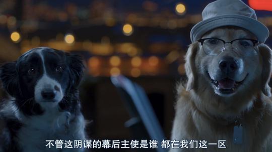 电影《猫狗大战3：爪爪集结！  Cats &amp; Dogs 3: Paws Unite!》（2020美国）--高清4K/1080P迅雷BT资源下载