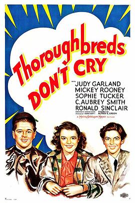 电影《小骑士  Thoroughbreds Don't Cry》（1937美国）--高清4K/1080P迅雷BT资源下载