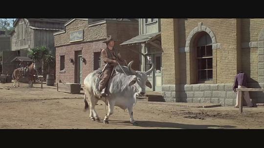 电影《灼热的马鞍  Blazing Saddles》（1974美国）--高清4K/1080P迅雷BT资源下载