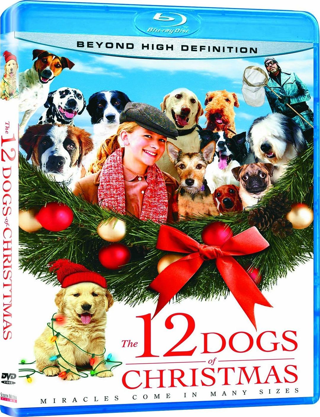 电影《12条圣诞狗狗  The 12 Dogs of Christmas》（2005美国）--高清4K/1080P迅雷BT资源下载