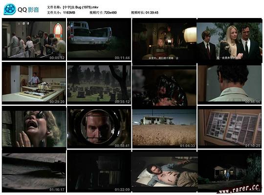 电影《人虫孽缘  Bug》（1975美国）--高清4K/1080P迅雷BT资源下载