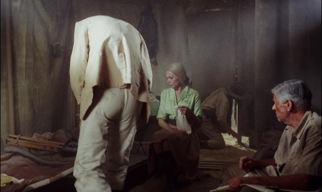 电影《木乃伊的裹尸布  The Mummy's Shroud》（1967英国）--高清4K/1080P迅雷BT资源下载