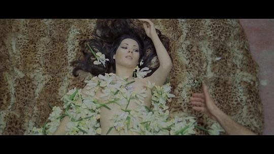 电影《滴血碧玉肌  Perché quelle strane gocce di sangue sul corpo di Jennifer?》（1972意大利）--高清4K/1080P迅雷BT资源下载