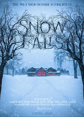 电影《Snow Falls》（2020美国）--高清4K/1080P迅雷BT资源下载