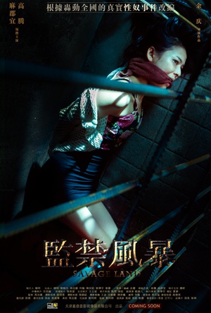 电影《监禁风暴》（2016中国大陆）--高清4K/1080P迅雷BT资源下载