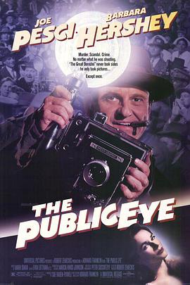 电影《公众之眼  The Public Eye》（1992美国）--高清4K/1080P迅雷BT资源下载