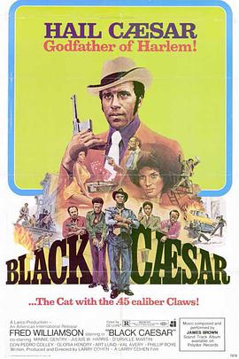 电影《黑凯撒  Black Caesar》（1973美国）--高清4K/1080P迅雷BT资源下载