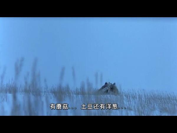 电影《雪行者  The Snow Walker》（2003加拿大）--高清4K/1080P迅雷BT资源下载