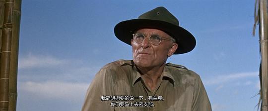 电影《视死如归  Merrill's Marauders》（1962美国）--高清4K/1080P迅雷BT资源下载