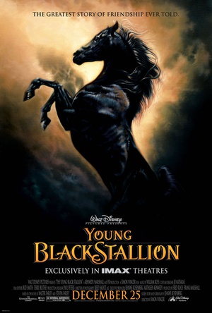 电影《小黑马  The Young Black Stallion》（2003美国）--高清4K/1080P迅雷BT资源下载