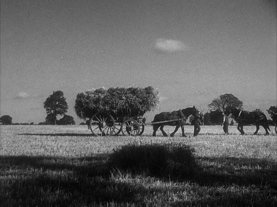 电影《Spring Offensive》（1940英国）--高清4K/1080P迅雷BT资源下载