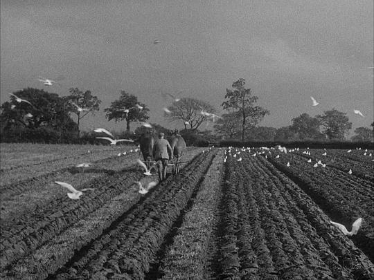 电影《Spring Offensive》（1940英国）--高清4K/1080P迅雷BT资源下载