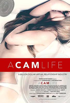 纪录片《A Cam Life》（2018美国）--高清4K/1080P迅雷BT资源下载